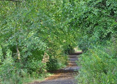 Murieston Trail